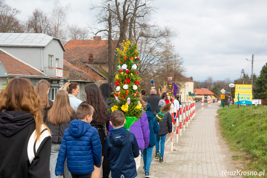 Parada palm w Zręcinie