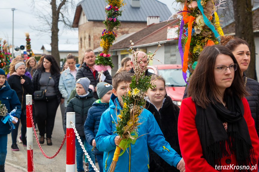 Parada palm w Zręcinie