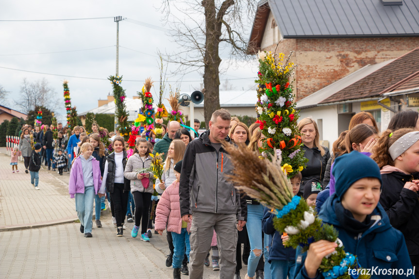 Parada palm w Zręcinie