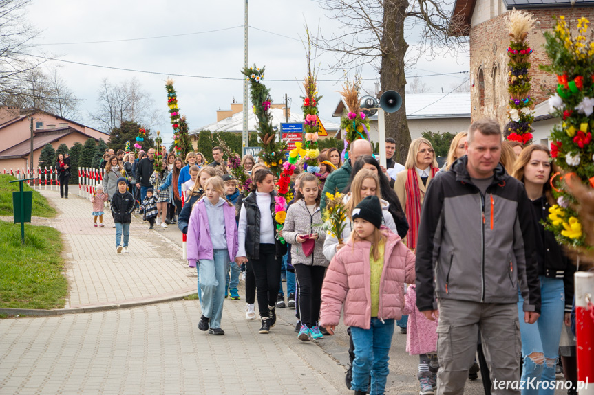 Parada palm w Zręcinie