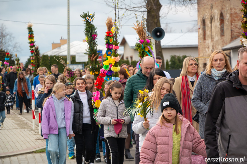 Parada palm w Zręcinie