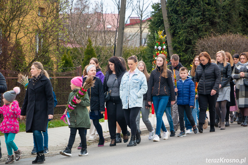 Parada palm w Zręcinie