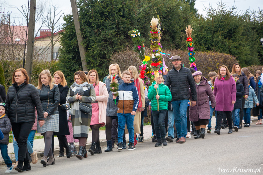 Parada palm w Zręcinie