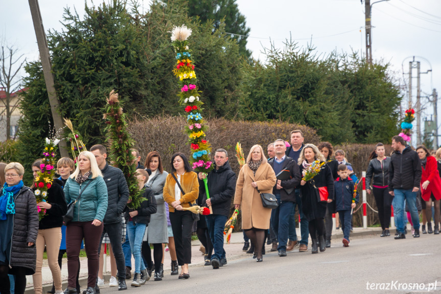 Parada palm w Zręcinie