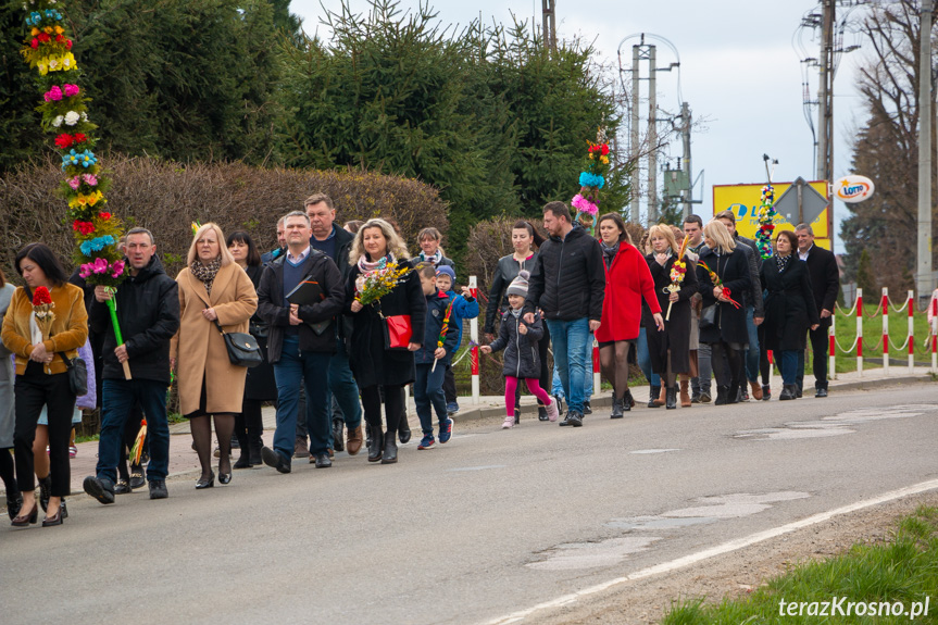 Parada palm w Zręcinie