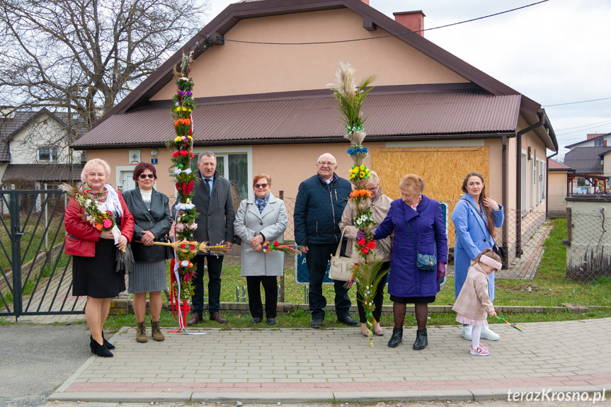 Parada palm w Zręcinie