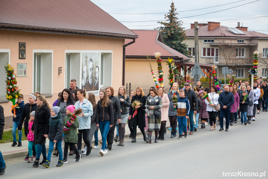 Parada palm w Zręcinie