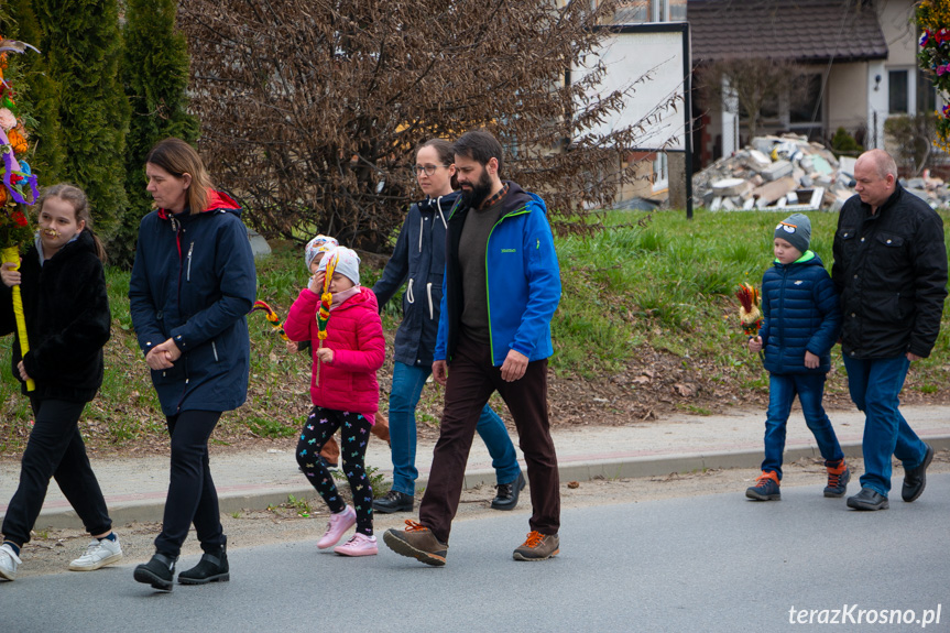 Parada palm w Zręcinie