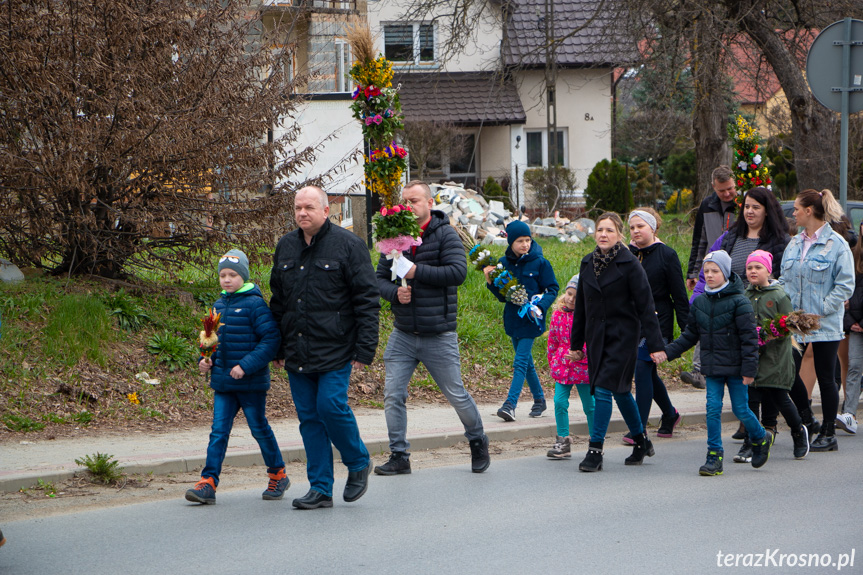 Parada palm w Zręcinie