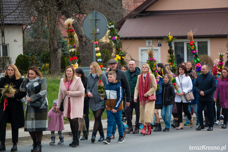 Parada palm w Zręcinie