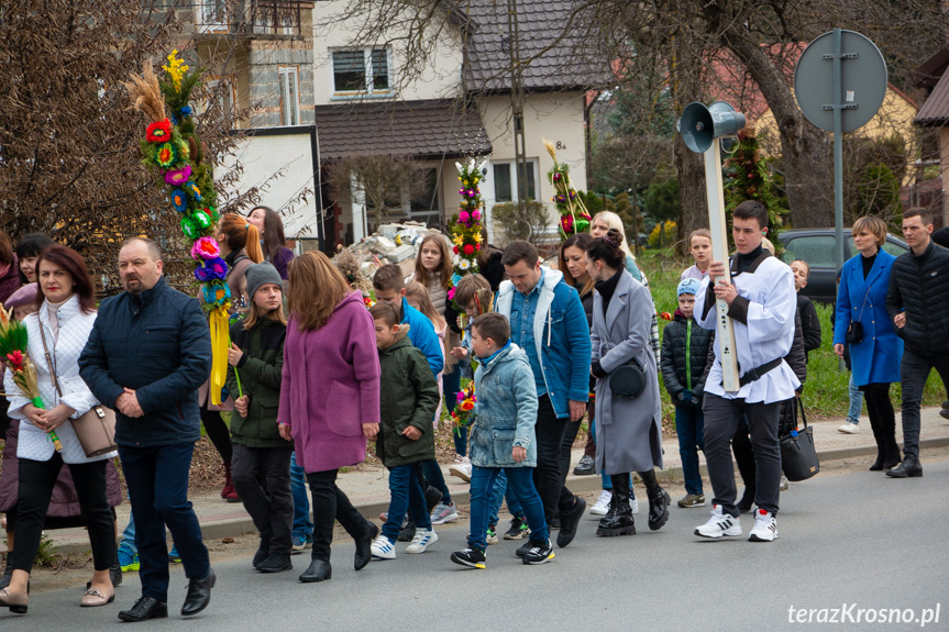 Parada palm w Zręcinie