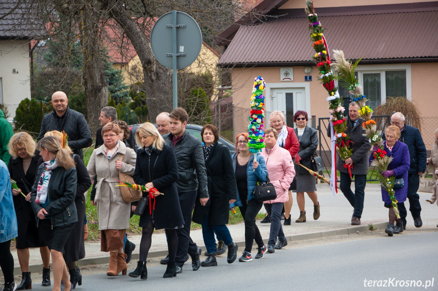 Parada palm w Zręcinie