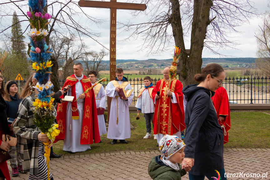 Parada palm w Zręcinie