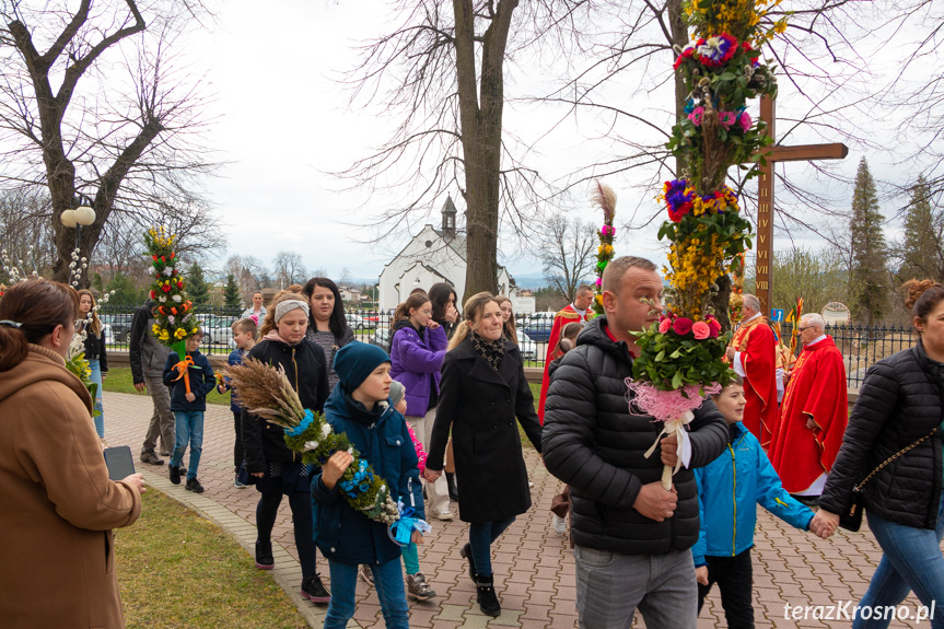 Parada palm w Zręcinie