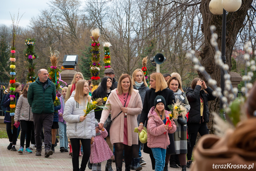 Parada palm w Zręcinie