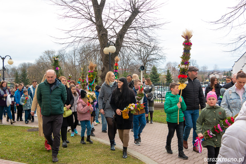 Parada palm w Zręcinie