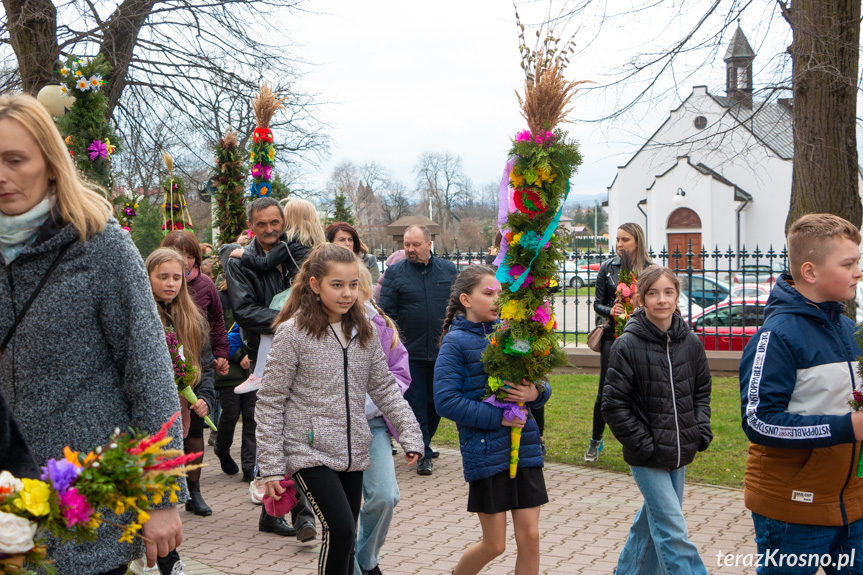 Parada palm w Zręcinie