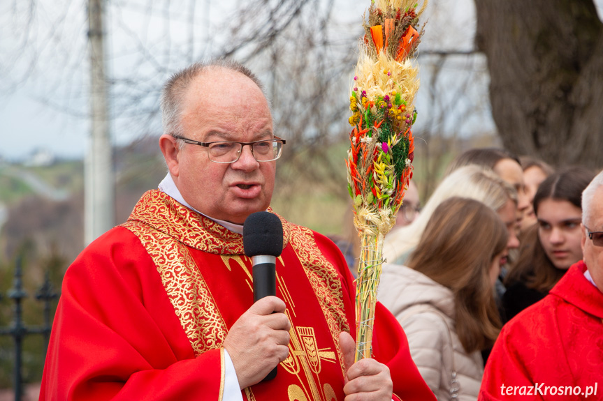 Parada palm w Zręcinie