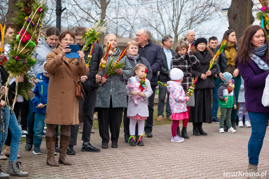 Parada palm w Zręcinie