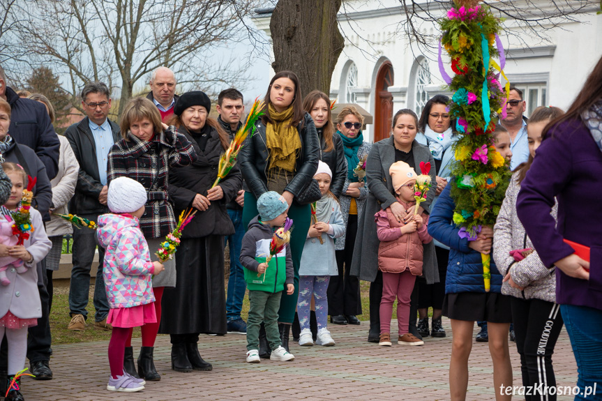 Parada palm w Zręcinie