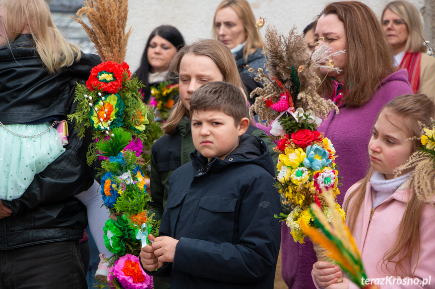 Parada palm w Zręcinie