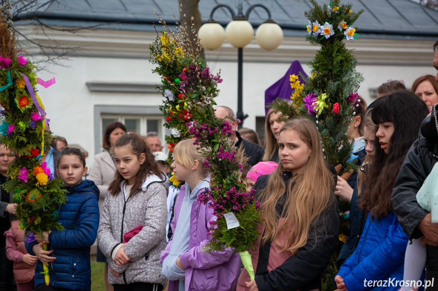 Parada palm w Zręcinie