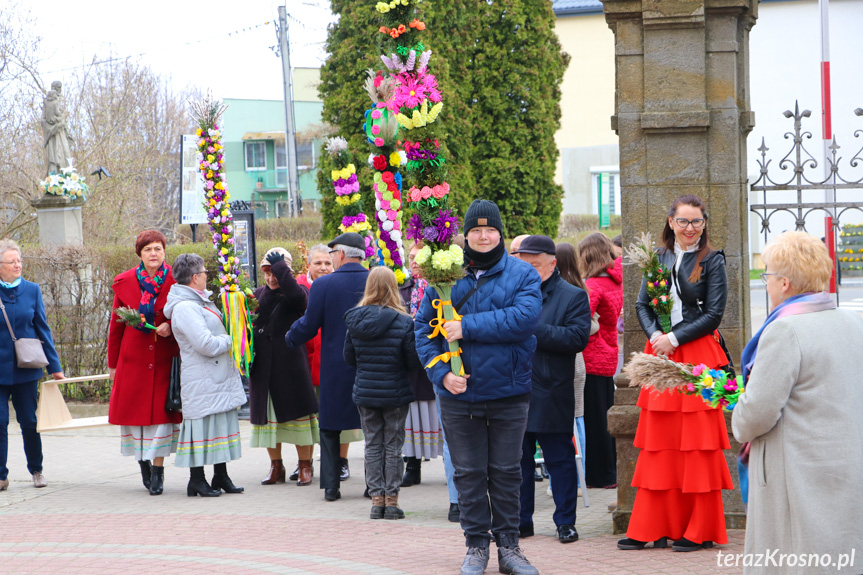 Parada Palm wielkanocnych w Rymanowie