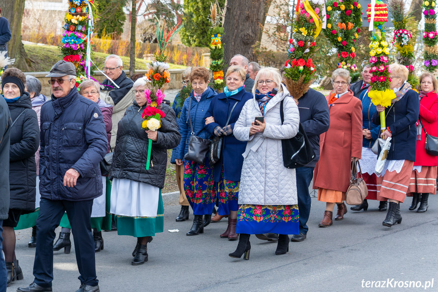 Parada palm wielkanocnych w Rymanowie