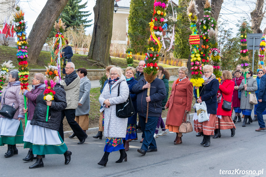 Parada palm wielkanocnych w Rymanowie