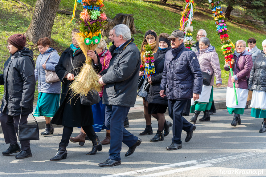 Parada palm wielkanocnych w Rymanowie