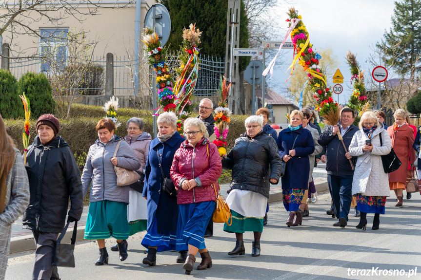 Parada palm wielkanocnych w Rymanowie