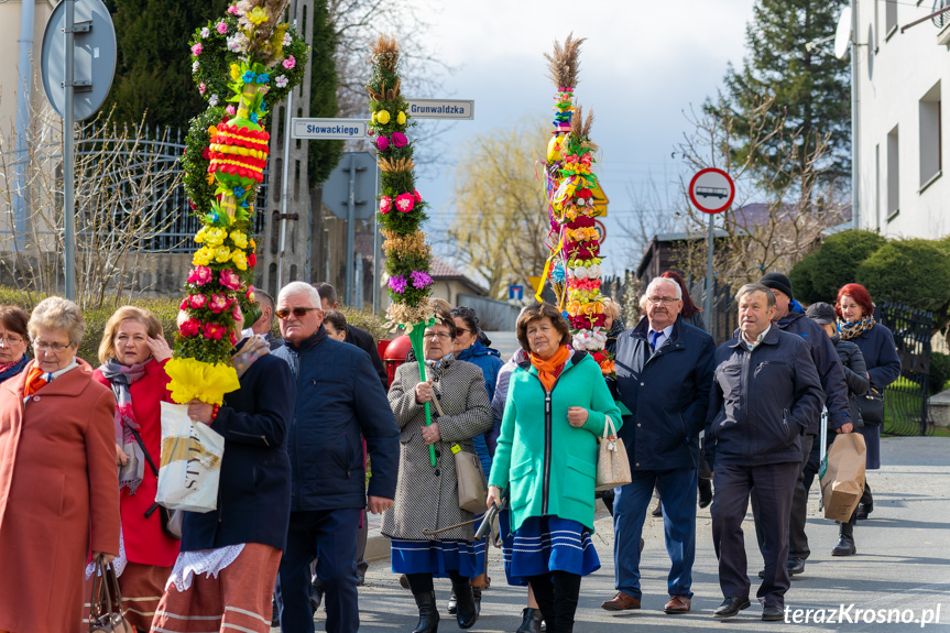 Parada palm wielkanocnych w Rymanowie