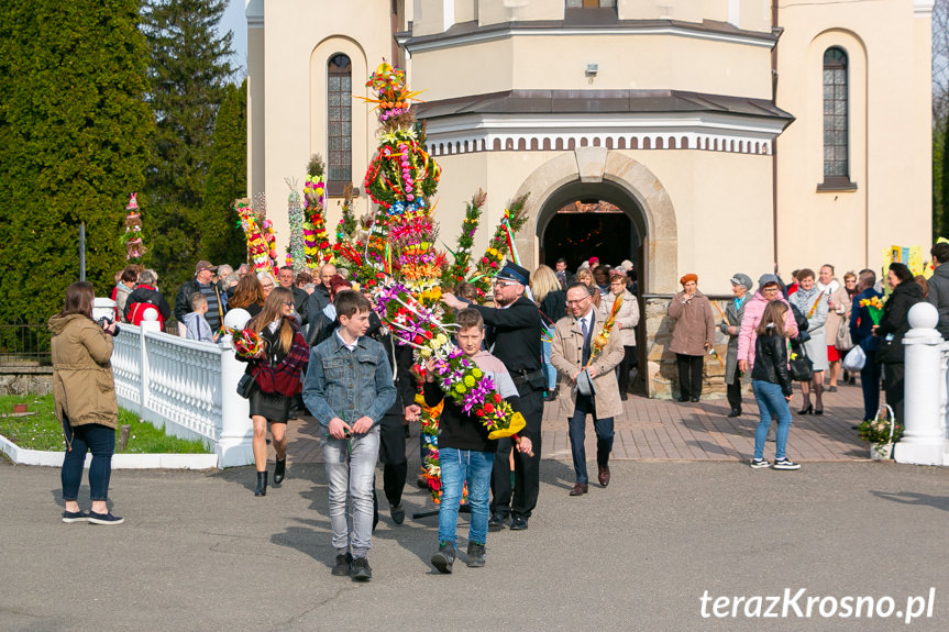 Parada Palm Wielkanocnych we Wróbliku Królewskim