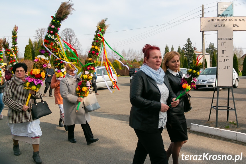 Parada Palm Wielkanocnych we Wróbliku Królewskim