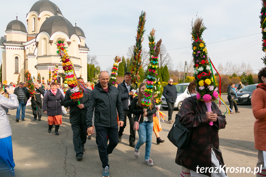 Parada Palm Wielkanocnych we Wróbliku Królewskim