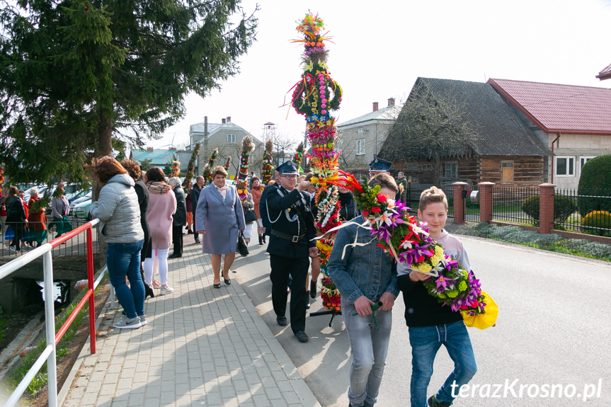 Parada Palm Wielkanocnych we Wróbliku Królewskim