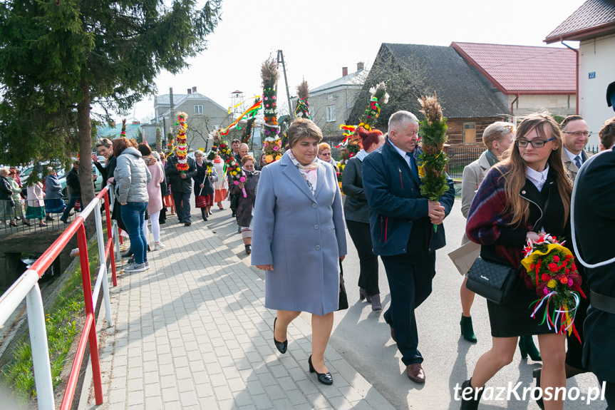 Parada Palm Wielkanocnych we Wróbliku Królewskim