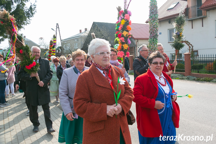 Parada Palm Wielkanocnych we Wróbliku Królewskim