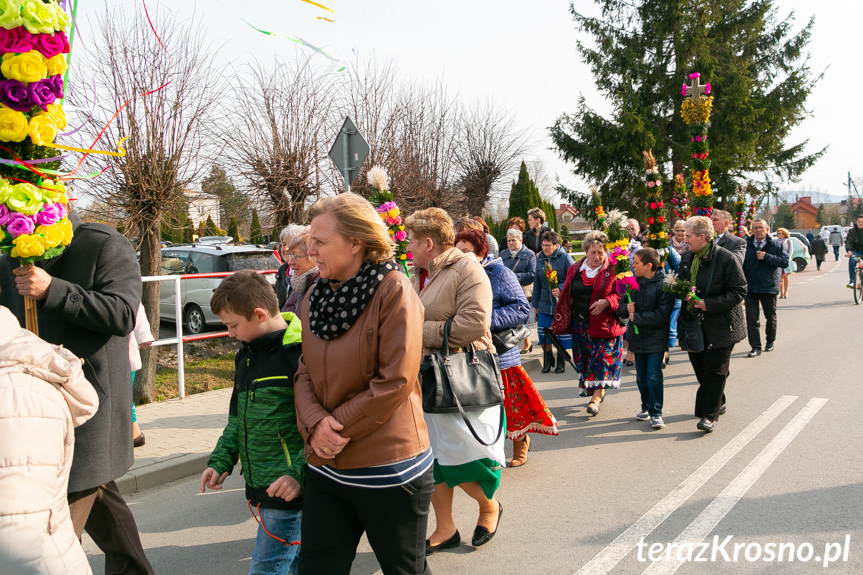 Parada Palm Wielkanocnych we Wróbliku Królewskim