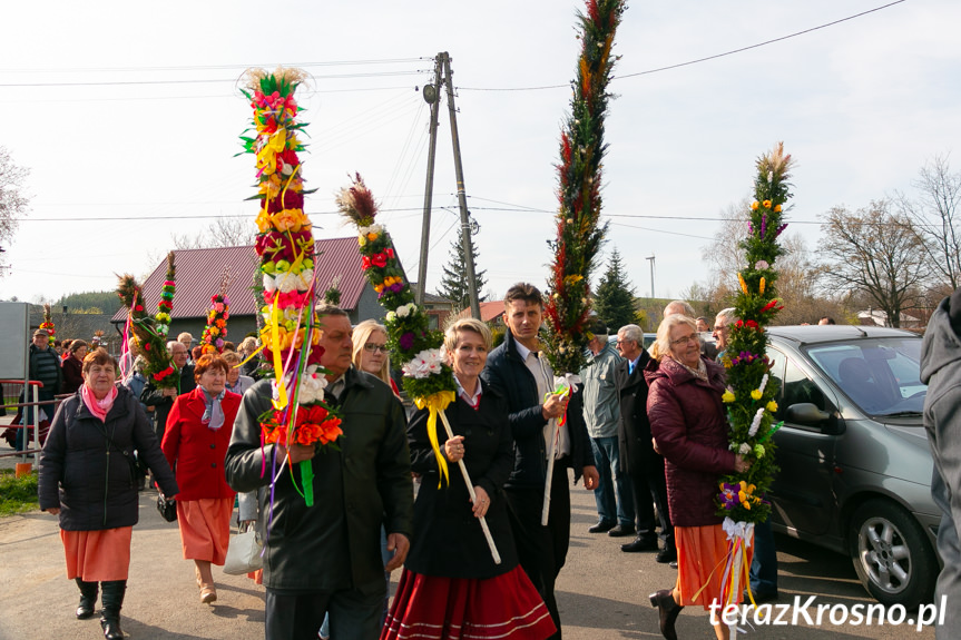 Parada Palm Wielkanocnych we Wróbliku Królewskim