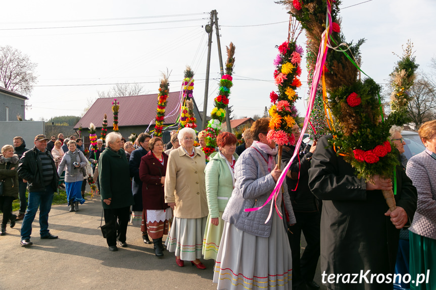 Parada Palm Wielkanocnych we Wróbliku Królewskim