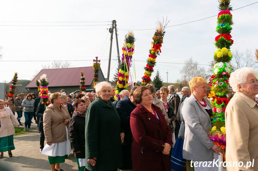 Parada Palm Wielkanocnych we Wróbliku Królewskim