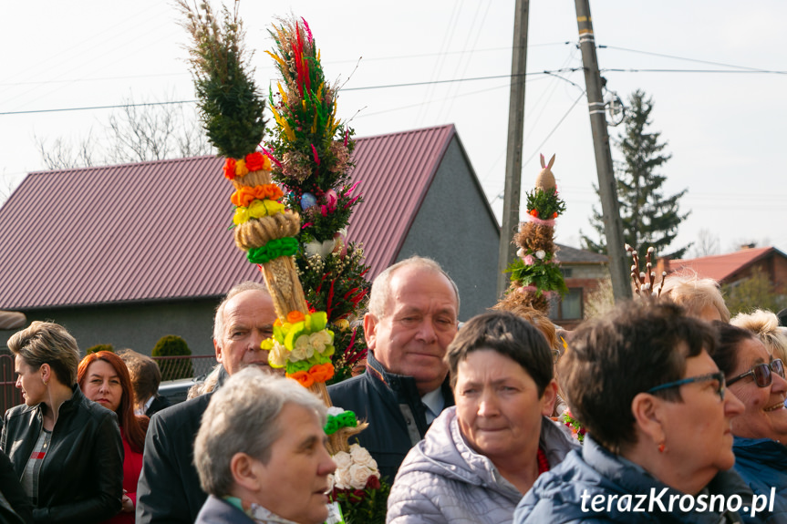 Parada Palm Wielkanocnych we Wróbliku Królewskim