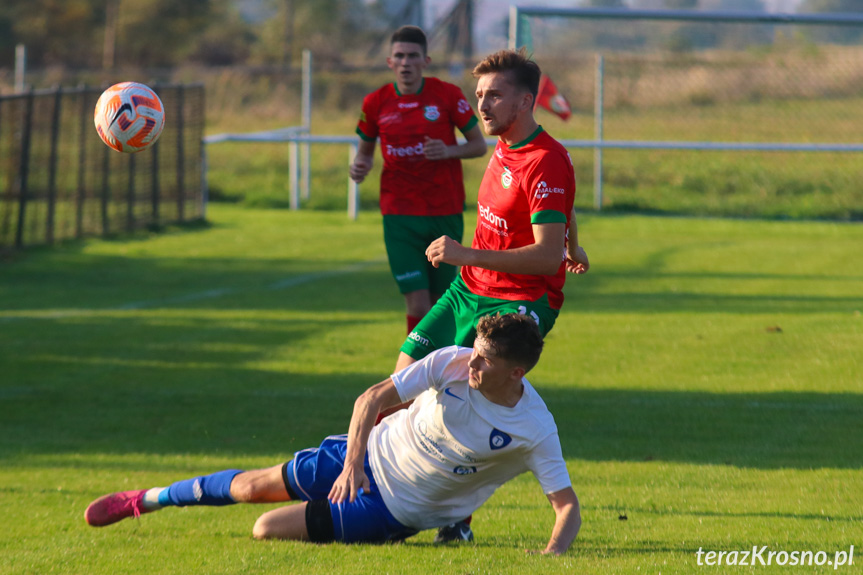 Partyzant AL-BUD 1 Targowiska - Tempo Nienaszów