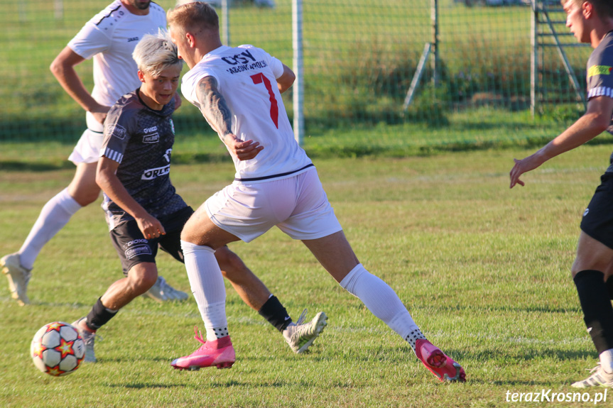 Partyzant MAL-BUD 1 Targowiska - Cisy Jabłonica Polska 2:0