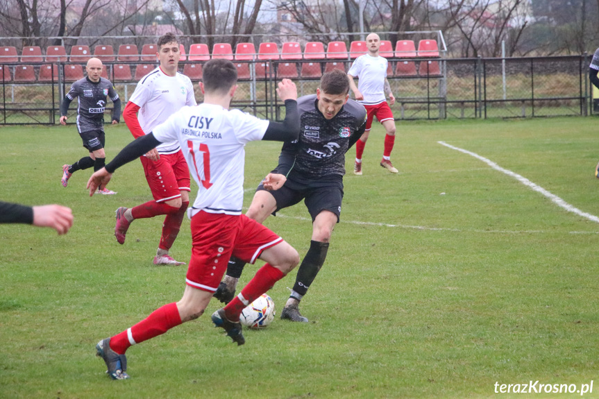 Partyzant MAL-BUD 1 Targowiska - Cisy Jabłonica Polska 5:1