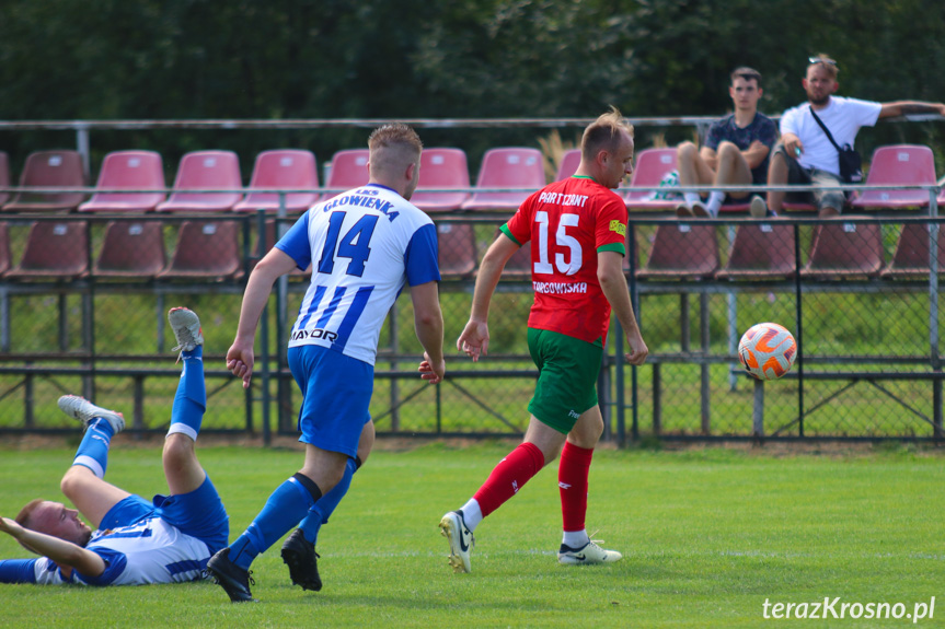 Partyzant MAL-BUD 1 Targowiska - LKS Głowienka