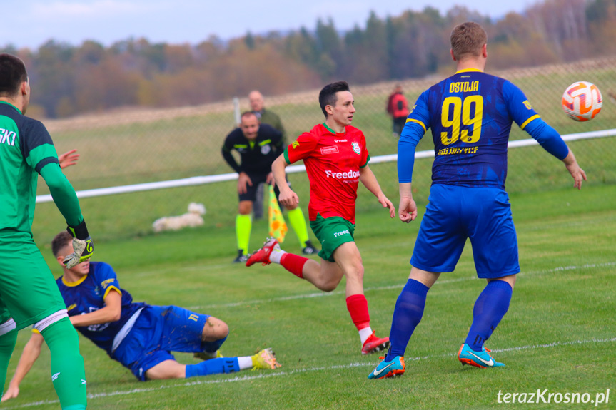 Partyzant MAL-BUD 1 Targowiska - Ostoja Kołaczyce 6-0