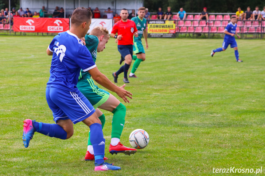 Partyzant MAL-BUD 1 Targowiska - Tempo Nienaszów 2:0