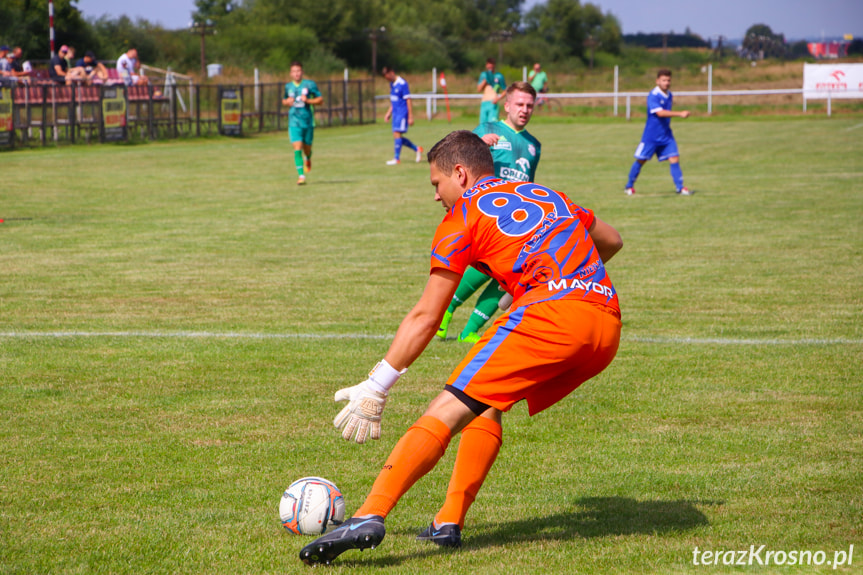 Partyzant MAL-BUD 1 Targowiska - Tempo Nienaszów 2:0